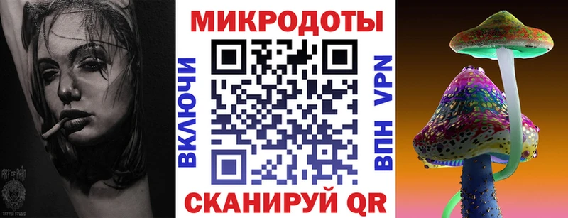 Галлюциногенные грибы Psilocybe закладка Новоузенск